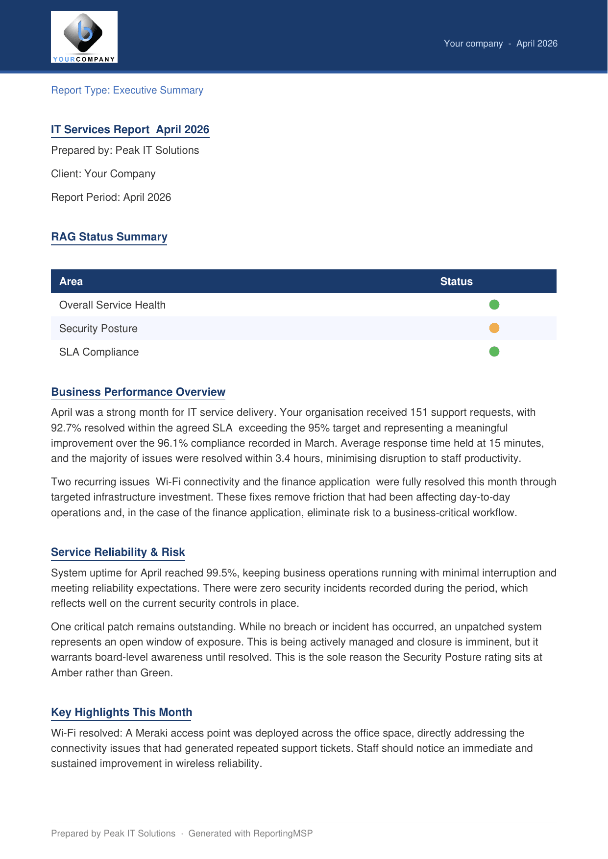 Executive report sample